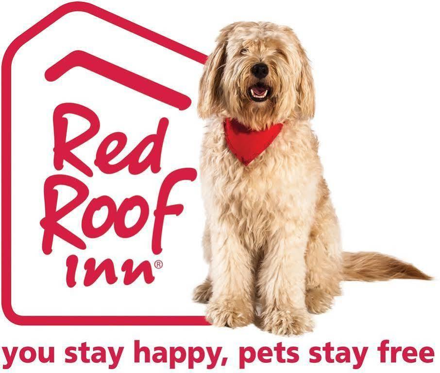 Red Roof Inn Erie - I-90 Kearsarge Exterior foto